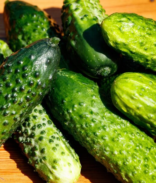 alexei_other-cucumbers-4698526_1920