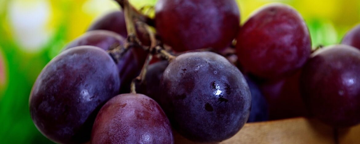 ignartonosbg-fruit-6929334_1920