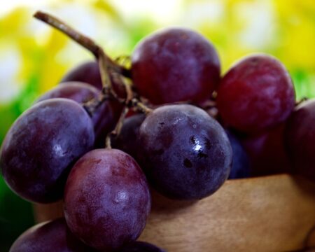 ignartonosbg-fruit-6929334_1920