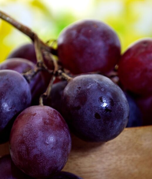 ignartonosbg-fruit-6929334_1920