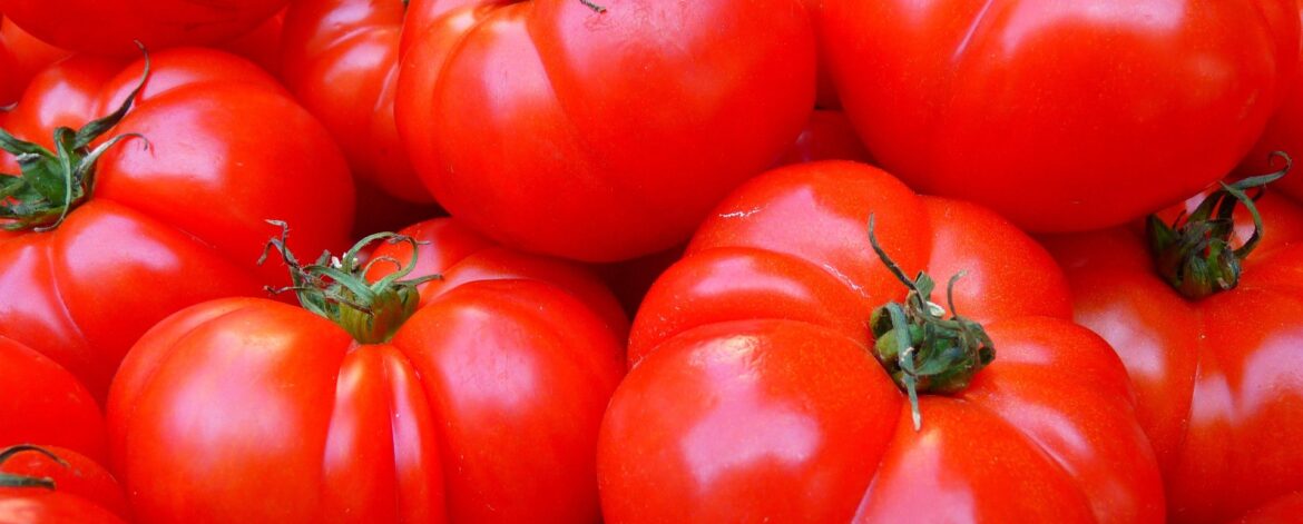 loggawiggler-tomatoes-5356_1920