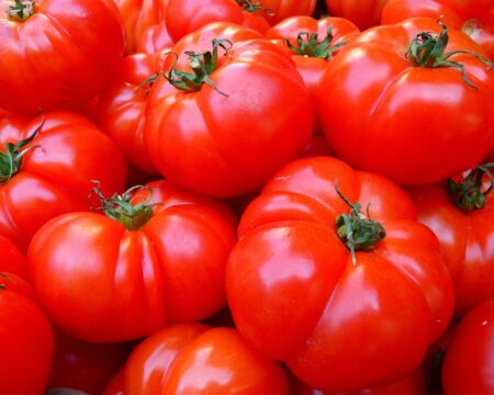 loggawiggler-tomatoes-5356_1920