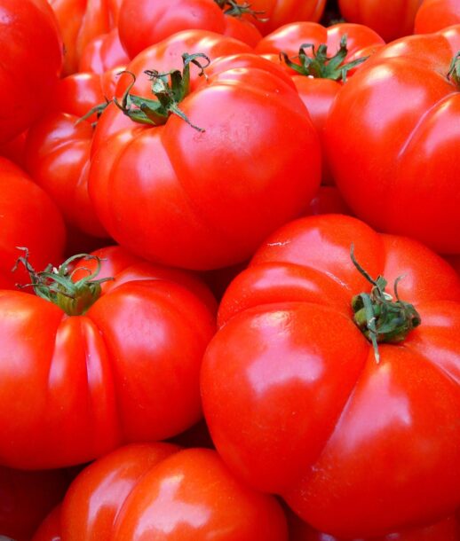 loggawiggler-tomatoes-5356_1920