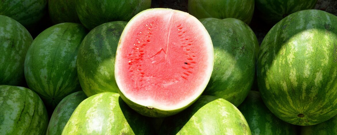paulbr75-water-melon-1652093_1920