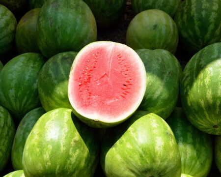 paulbr75-water-melon-1652093_1920