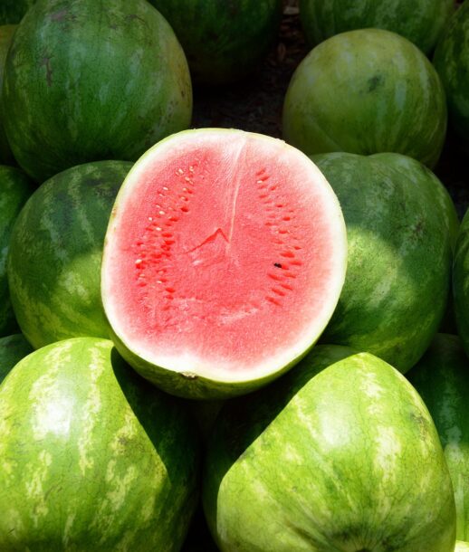 paulbr75-water-melon-1652093_1920