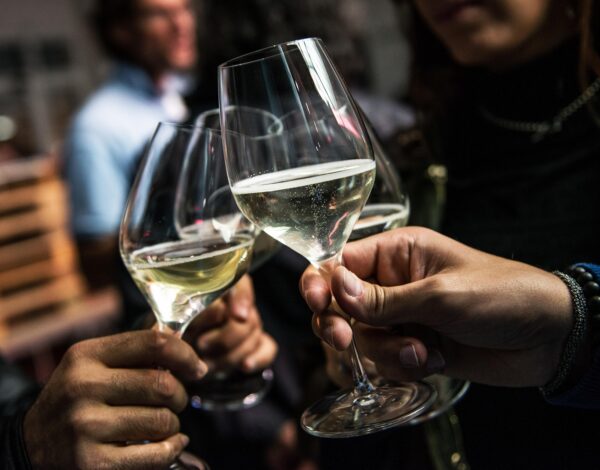 robyrad-wine-6002736_1920