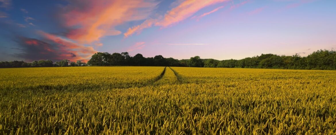 thedigitalartist-countryside-232678